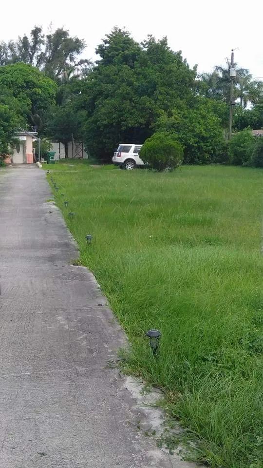 Local landscaping services in Plantation, FL - Interscope Landscaping