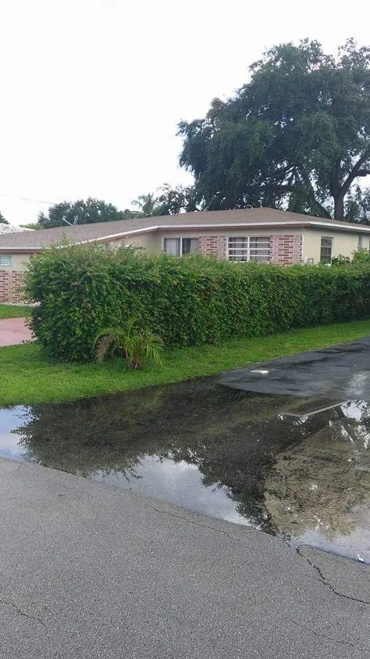 Trusted landscaping services for homes in Plantation, FL by Interscope Landscaping