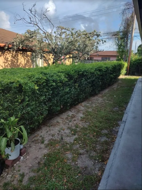 Trusted yard cleanup service for homes in Plantation, FL by Interscope Landscaping