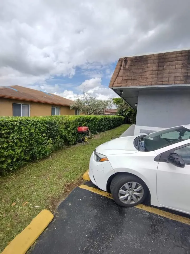 Professional yard cleanup service in Plantation, FL by Interscope Landscaping