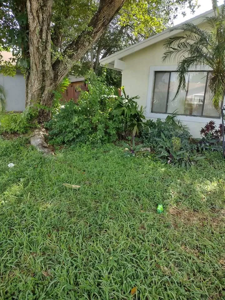 Trusted lawn care service for residential properties in Plantation, FL by Interscope Landscaping