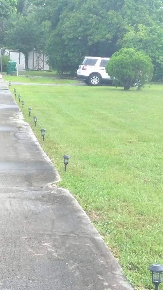 Trusted yard maintenance for residential properties in Plantation, FL by Interscope Landscaping