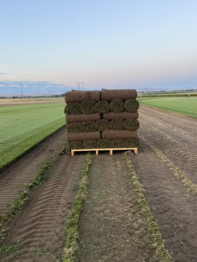 Trusted lawn mowing service in Post Falls, ID - Interstate Sod