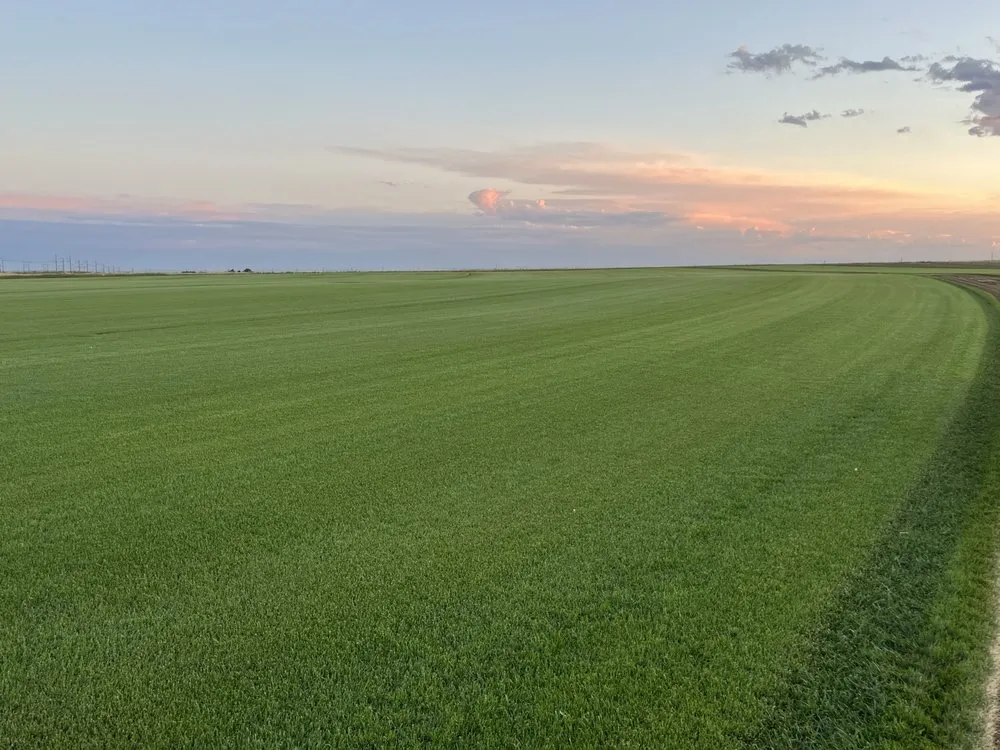 Professional landscape installation for homes in Post Falls, ID by Interstate Sod