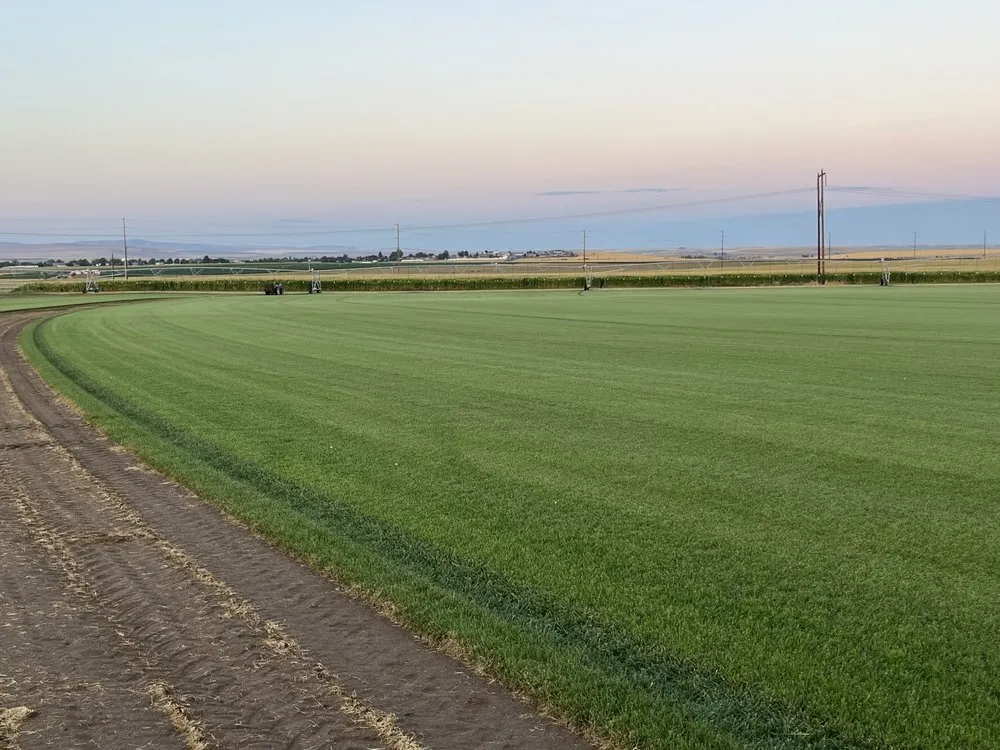 Local residential landscaping in Post Falls, ID by Interstate Sod