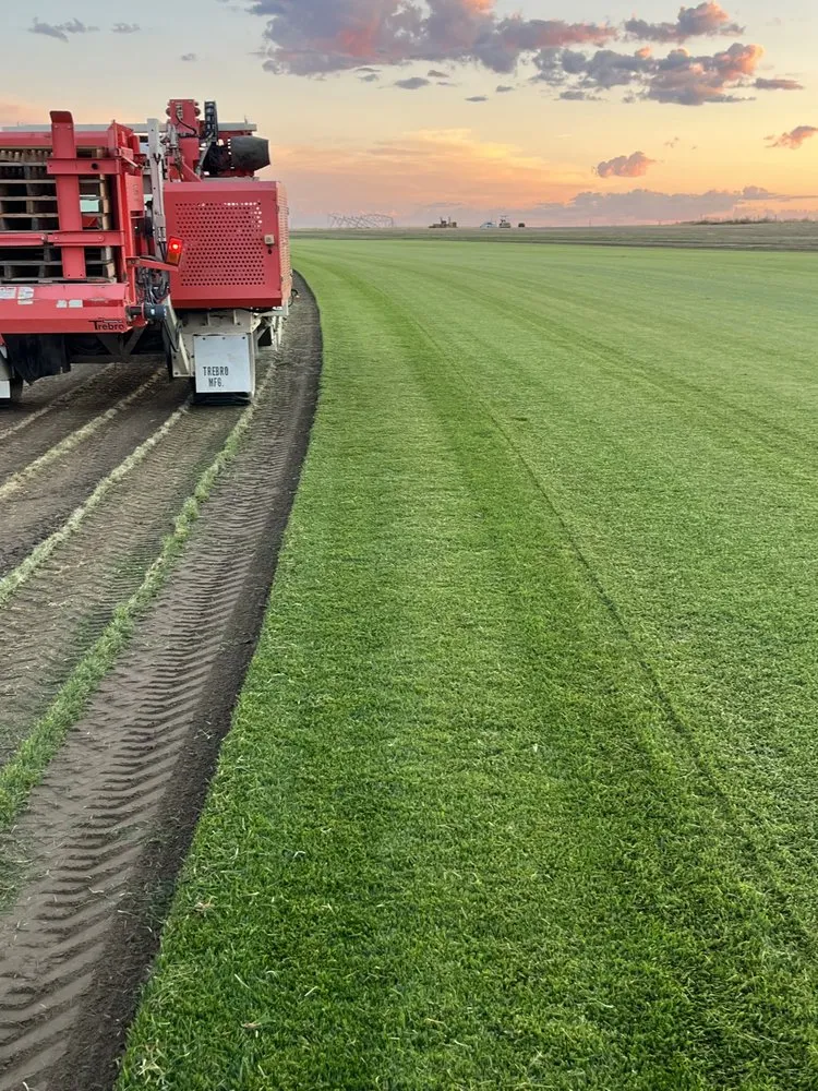Professional lawn mowing service in Post Falls, ID - Interstate Sod