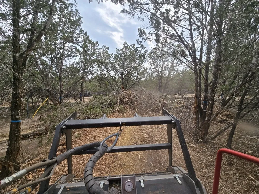 Custom landscaping services in Kyle, TX - Intex Rock & Cedar Solutions