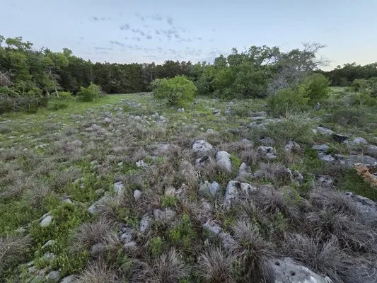 Intex Rock & Cedar Solutions Logo