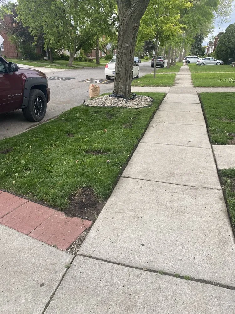 Affordable landscape design in Detroit, MI - Inthekuttservices