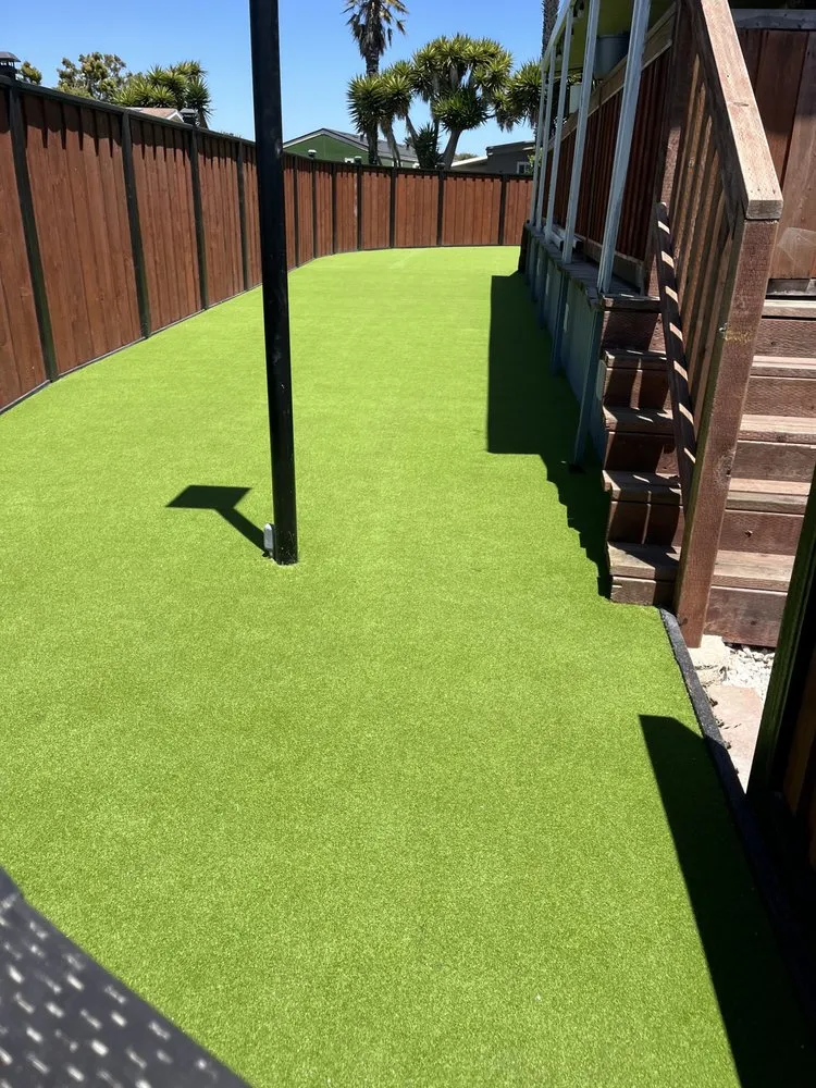 Professional yard cleanup service experts serving Santa Clara, CA - IntoTurf