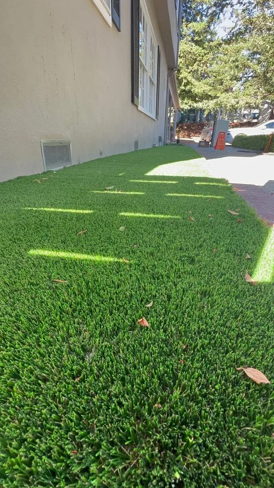 Reliable landscape design for beautiful yards in Santa Clara, CA by IntoTurf