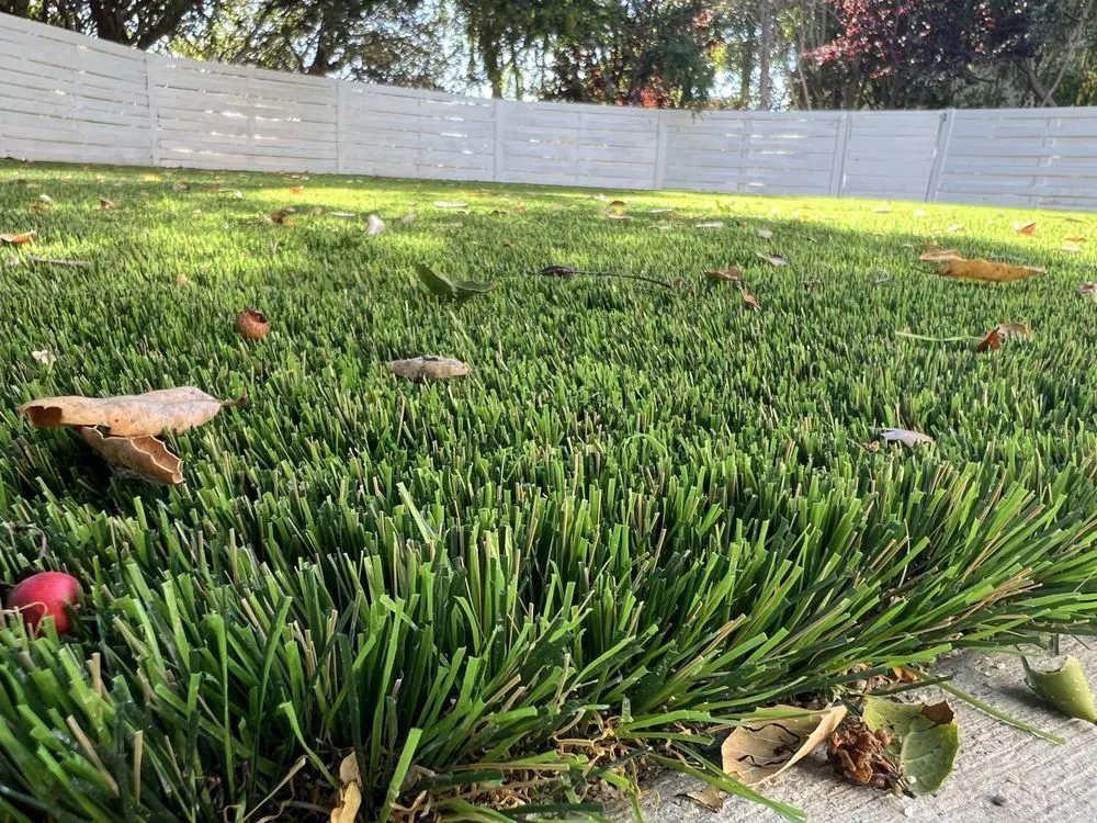 Reliable garden landscaping in Santa Clara, CA by IntoTurf