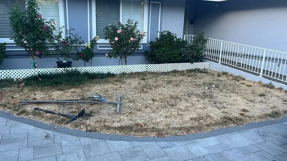 Affordable yard maintenance experts serving Santa Clara, CA - IntoTurf