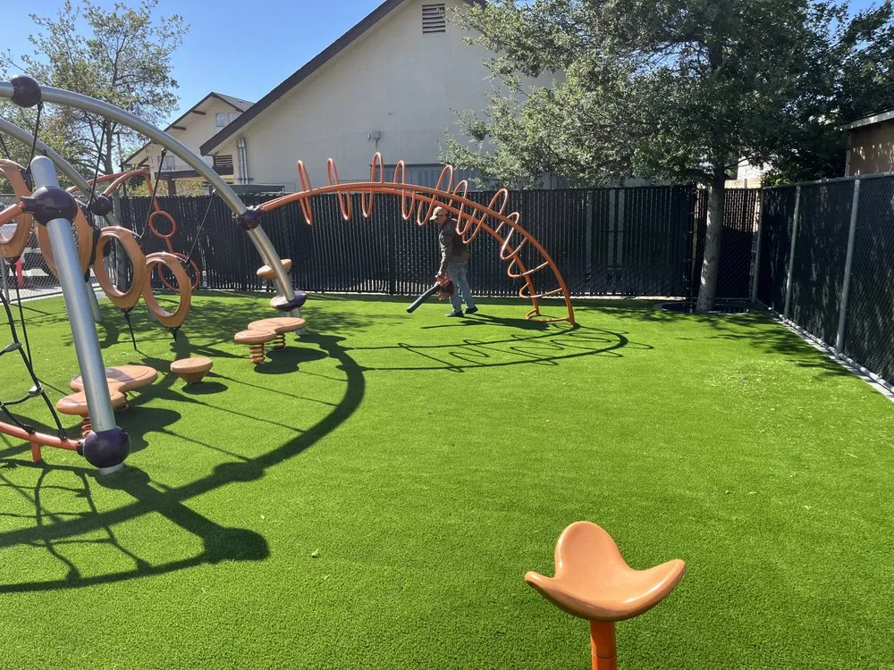 Reliable yard cleanup service in Santa Clara, CA by IntoTurf