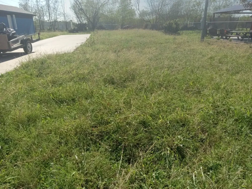 Reliable yard cleanup service for residential properties in Edcouch, TX by Intown Lawn Mowing