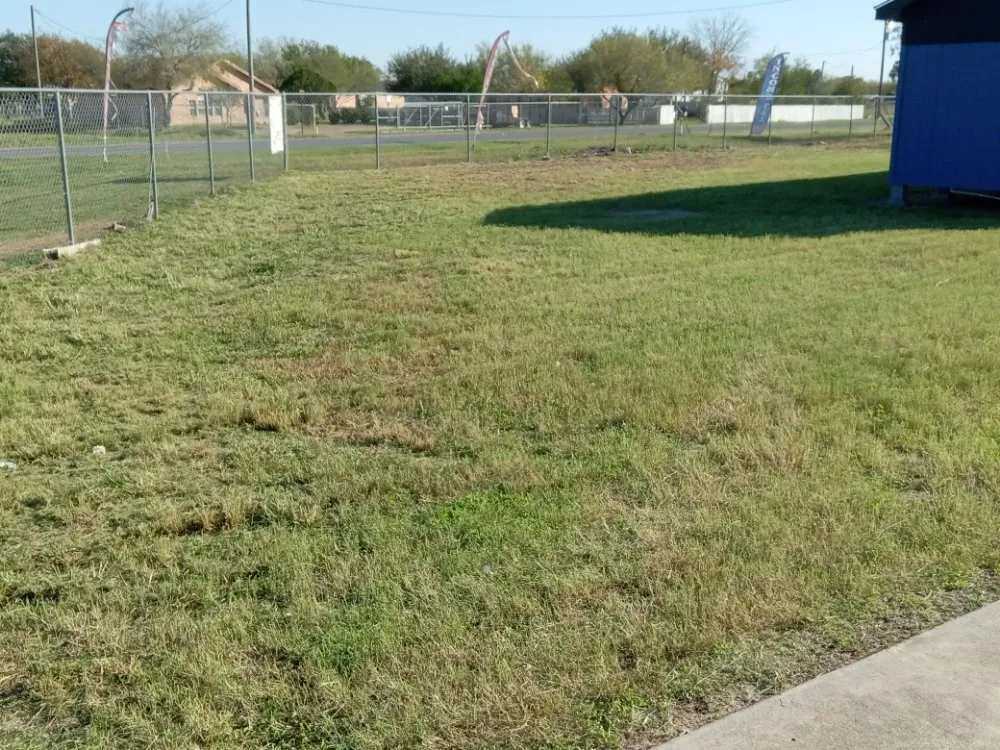 Expert residential landscaping near you across Edcouch, TX - Intown Lawn Mowing