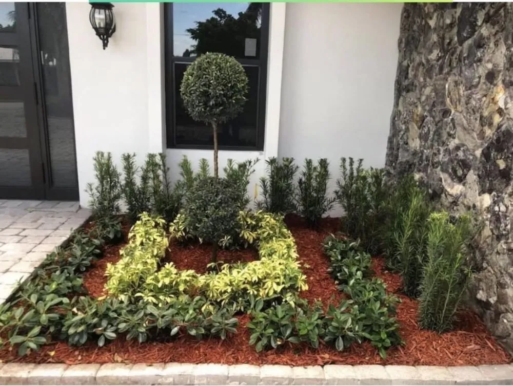Trusted landscape installation for year-round maintenance across Fort Lauderdale, FL - Intracostal Landscaping Nvz