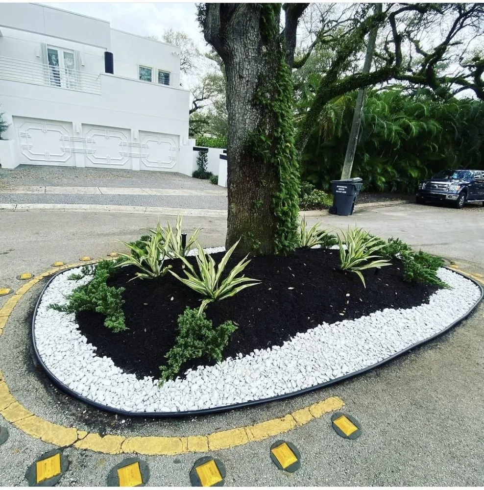 Trusted lawn care service for beautiful yards across Fort Lauderdale, FL - Intracostal Landscaping Nvz