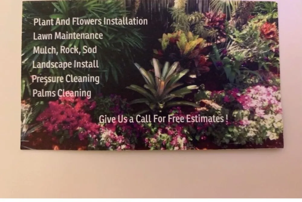 Reliable lawn care service in Fort Lauderdale, FL - Intracostal Landscaping Nvz
