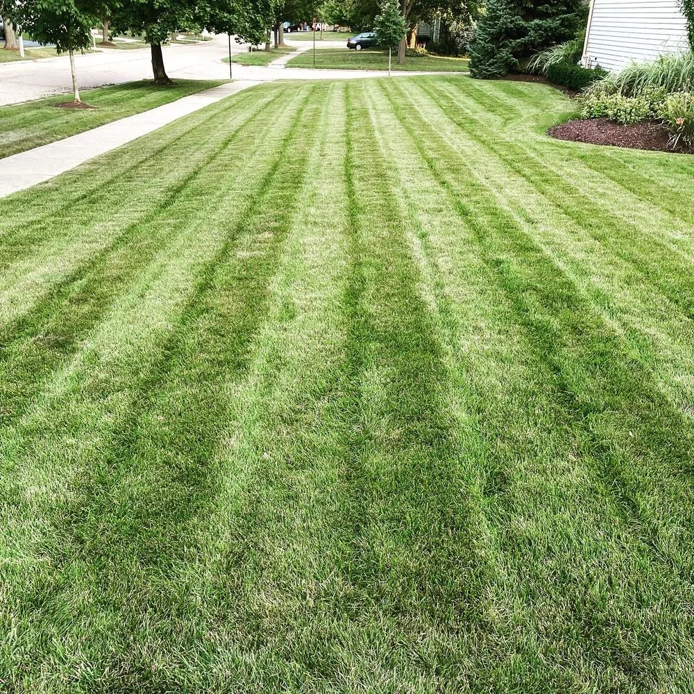 Top-rated residential landscaping for year-round maintenance in Dundee Township, IL by Intracut Landscaping