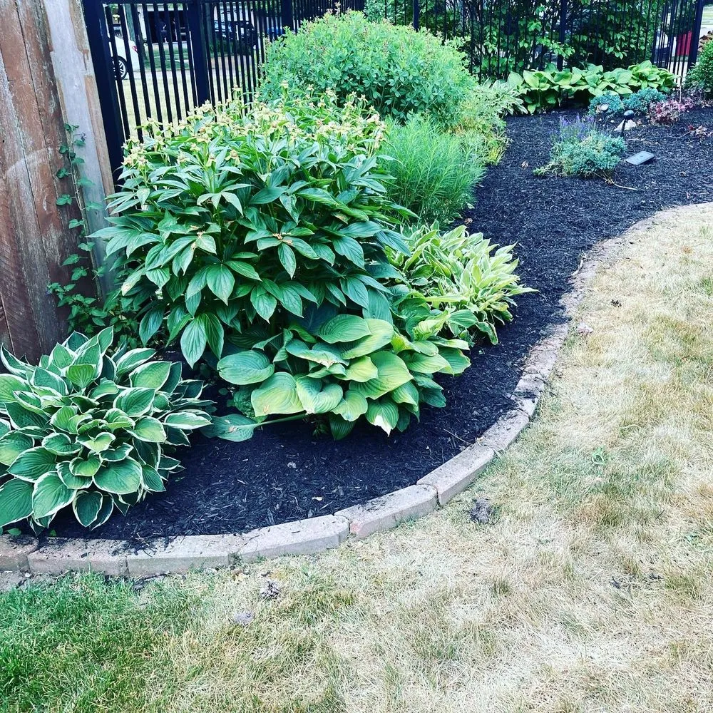 Expert lawn care service in Dundee Township, IL - Intracut Landscaping