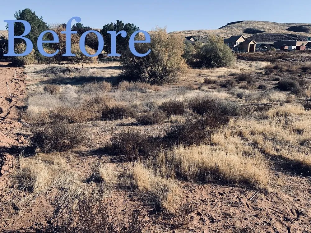 Reliable lawn mowing service for beautiful yards in St. George, UT by Intrepid Landscapes