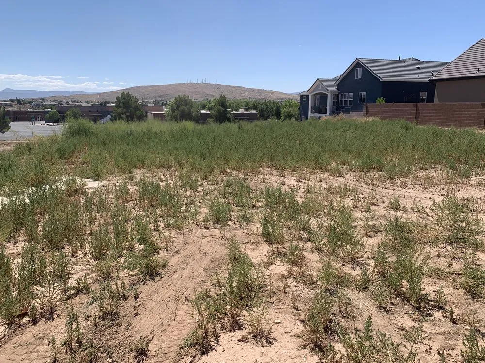 Professional lawn care service for year-round maintenance across St. George, UT - Intrepid Landscapes