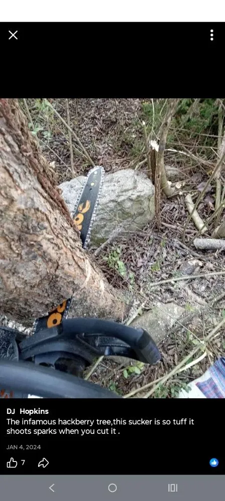 Professional landscaping services in Nashville, TN by Intricate Services