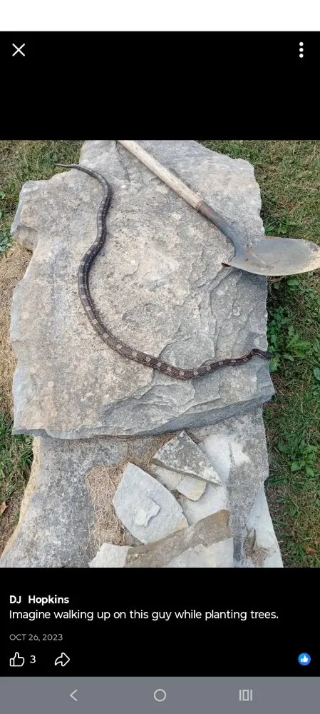 Custom landscaping services in Nashville, TN by Intricate Services