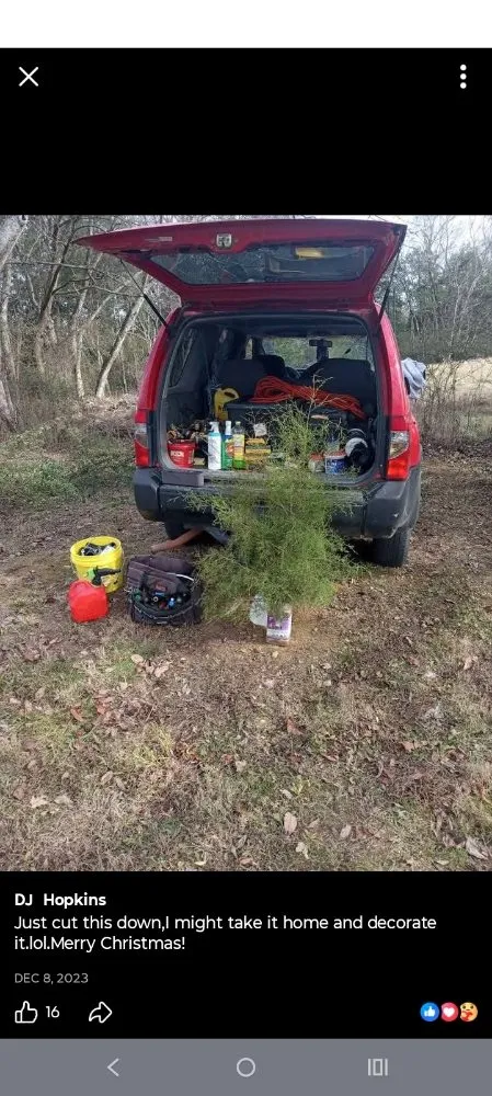 Top-rated landscape installation for homes across Nashville, TN - Intricate Services