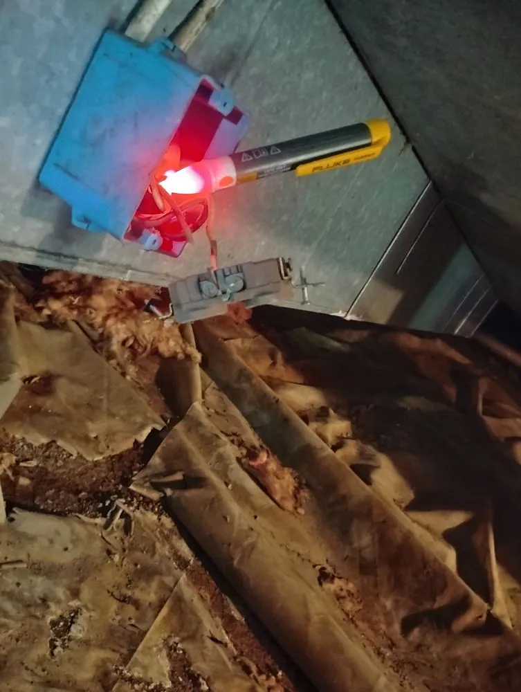 Expert yard cleanup service experts serving Nashville, TN - Intricate Services