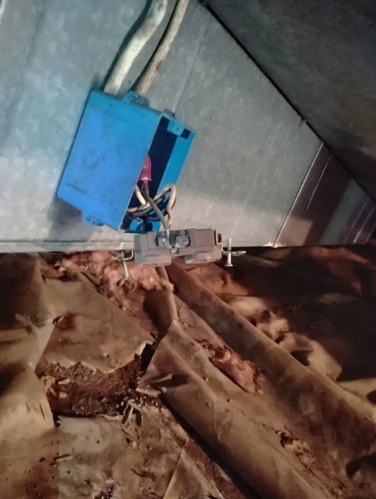 Trusted garden landscaping in Nashville, TN - Intricate Services