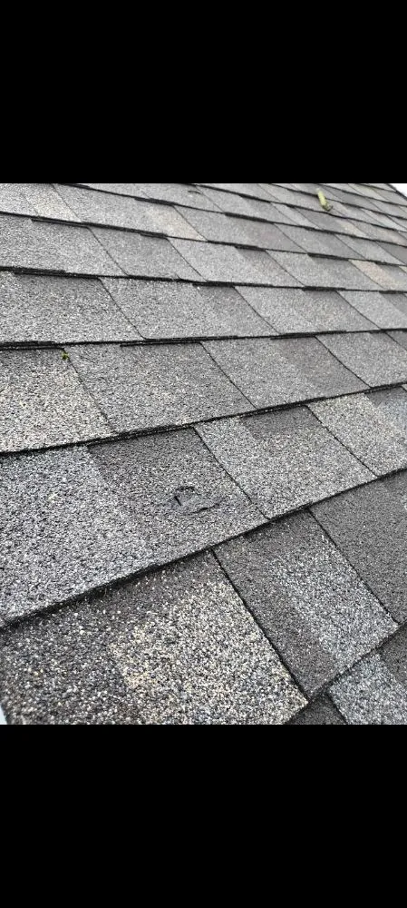 Affordable yard maintenance for outdoor upgrades across Nashville, TN - Intricate Services