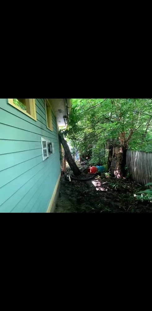 Expert landscaping services in Des Moines, IA by Intrigued Solutions