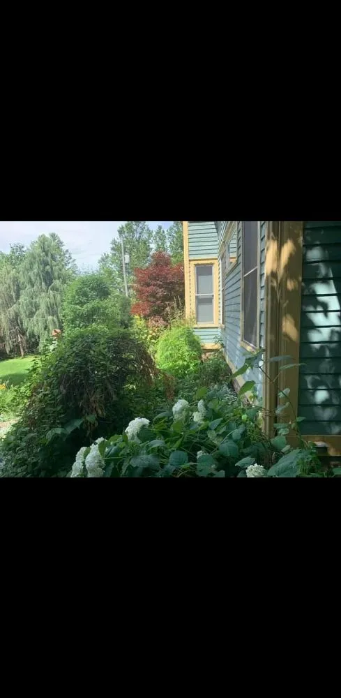 Expert lawn care service experts serving Des Moines, IA - Intrigued Solutions