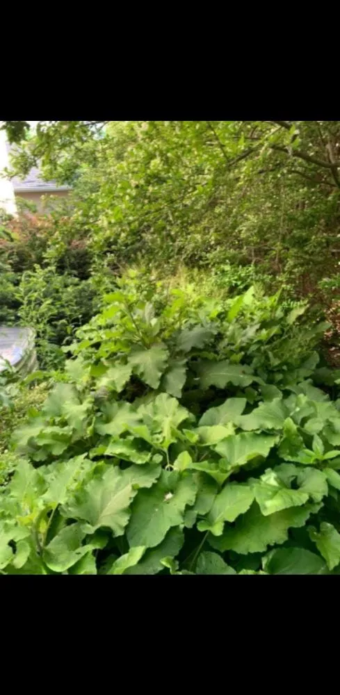 Expert residential landscaping in Des Moines, IA - Intrigued Solutions