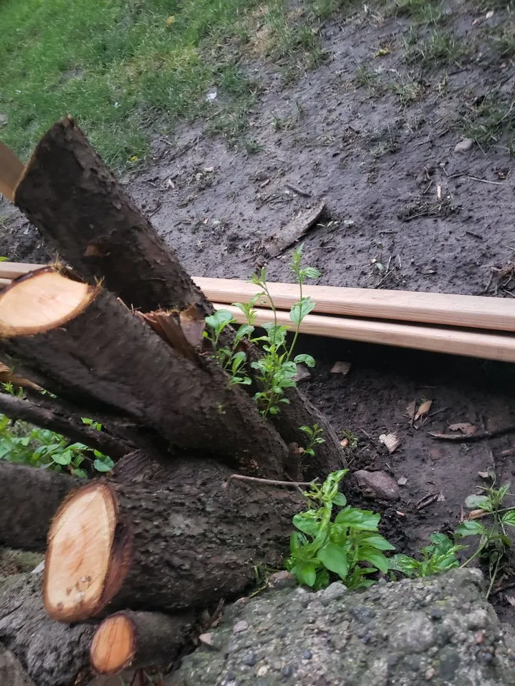 Affordable yard cleanup service for beautiful yards across Des Moines, IA - Intrigued Solutions