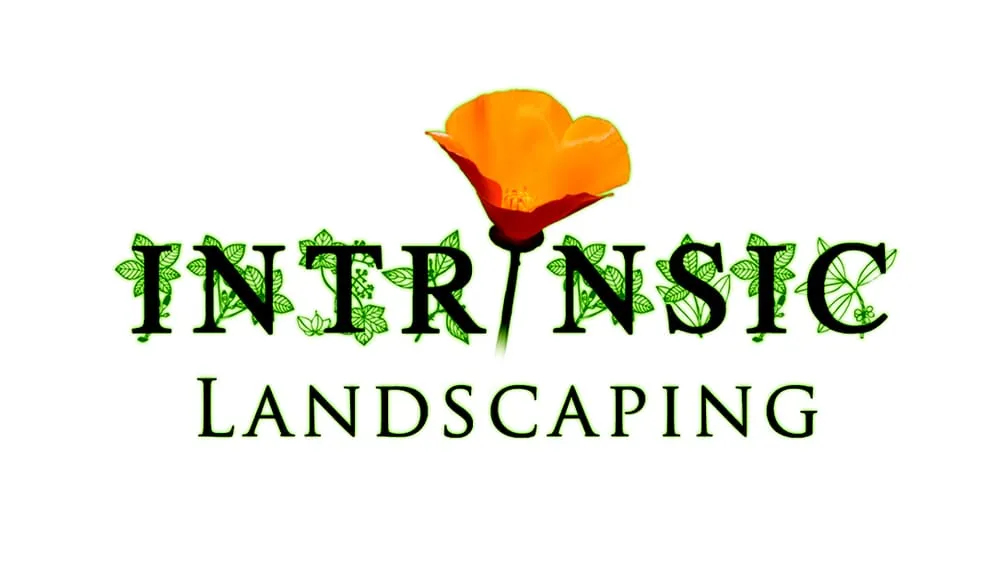 Professional lawn care service near you in Walnut Creek, CA by Intrinsic Landscaping