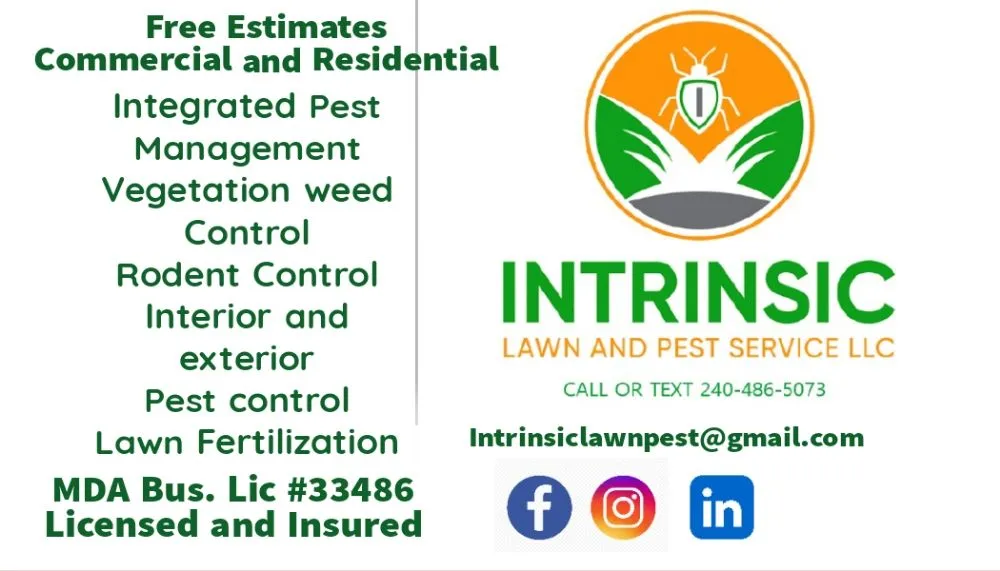 Expert landscape installation for homes across Nottingham, MD - Intrinsic Lawn and Pest Service