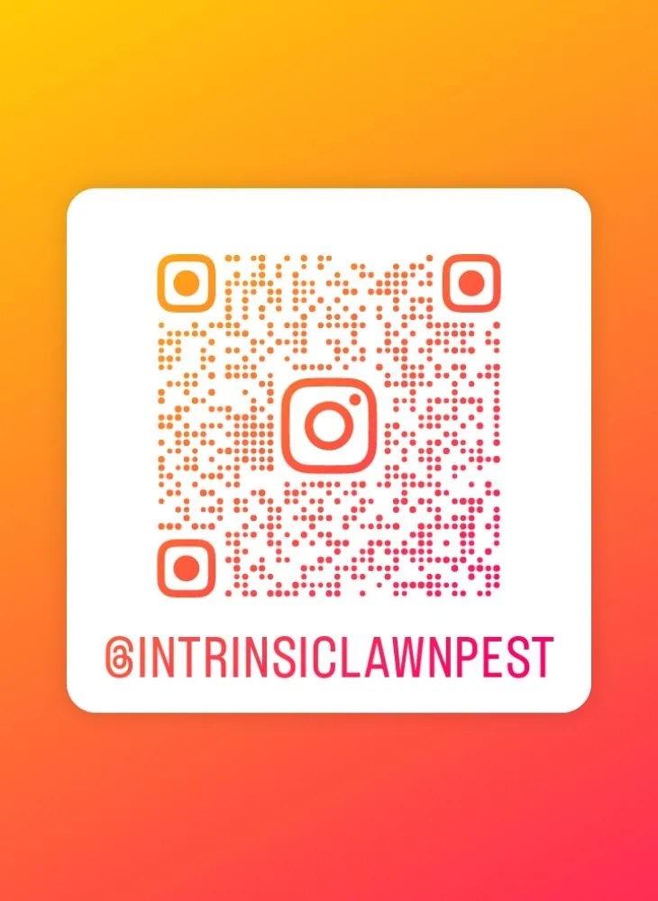 Expert outdoor landscaping in Nottingham, MD - Intrinsic Lawn and Pest Service