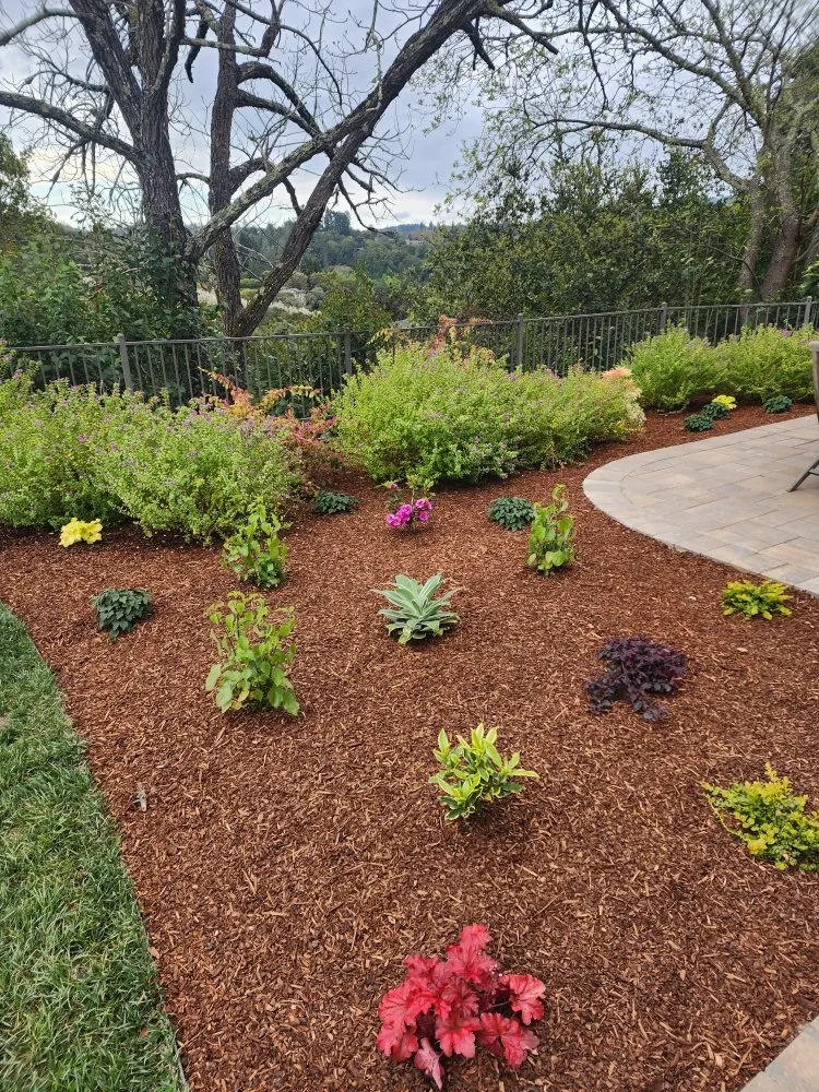 Local outdoor landscaping in Oakland, CA by Intuitive Landscape & Construction