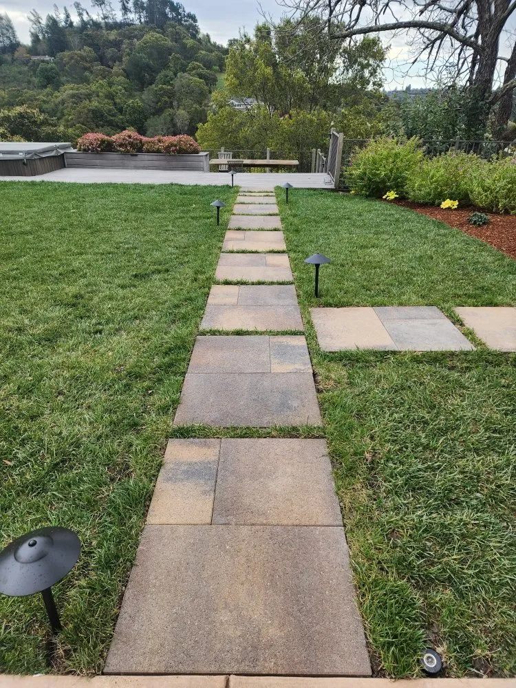 Reliable yard cleanup service for homes in Oakland, CA by Intuitive Landscape & Construction