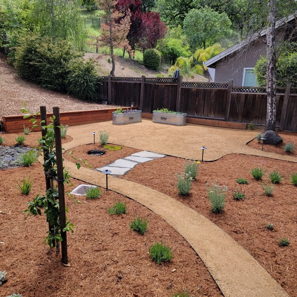 Affordable lawn mowing service in Oakland, CA by Intuitive Landscape & Construction