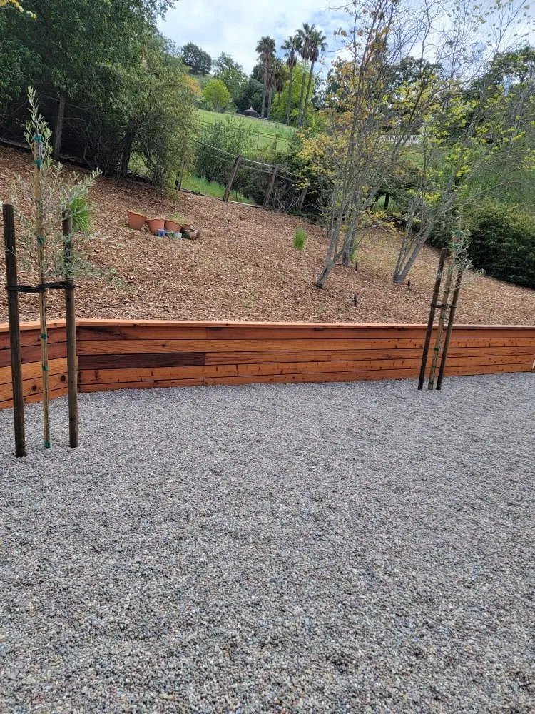 Local lawn care service experts serving Oakland, CA - Intuitive Landscape & Construction