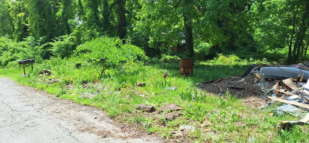 Reliable yard maintenance in Williford, AR - Investment Landscaping