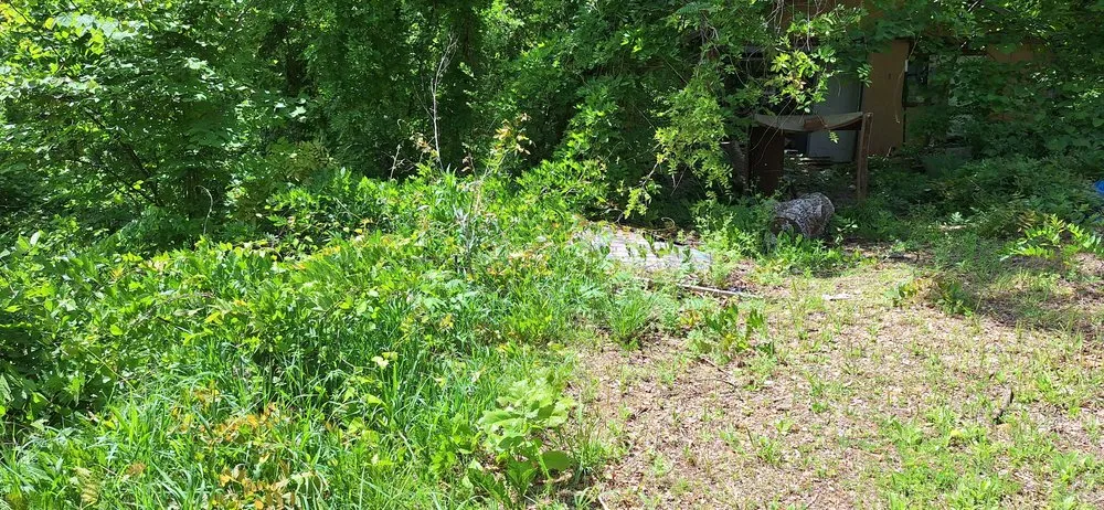 Expert lawn mowing service in Williford, AR - Investment Landscaping
