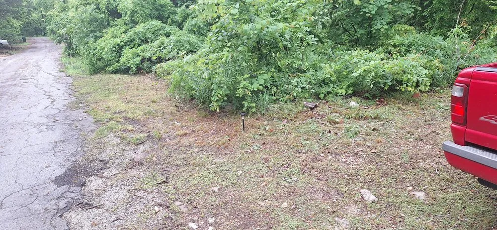 Professional yard cleanup service near you in Williford, AR by Investment Landscaping