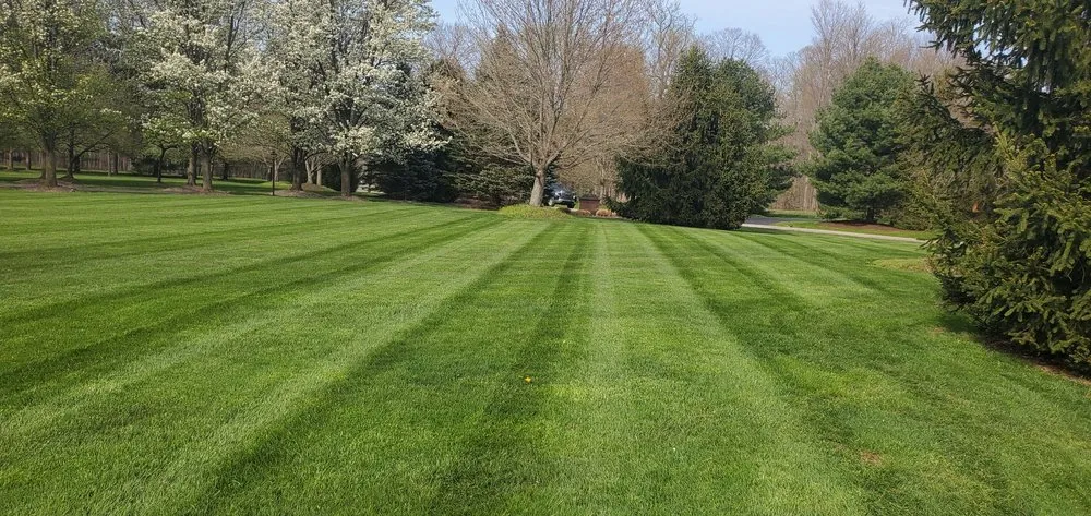 Affordable garden landscaping experts serving Rockmart, GA - Invictus Lawncare Services