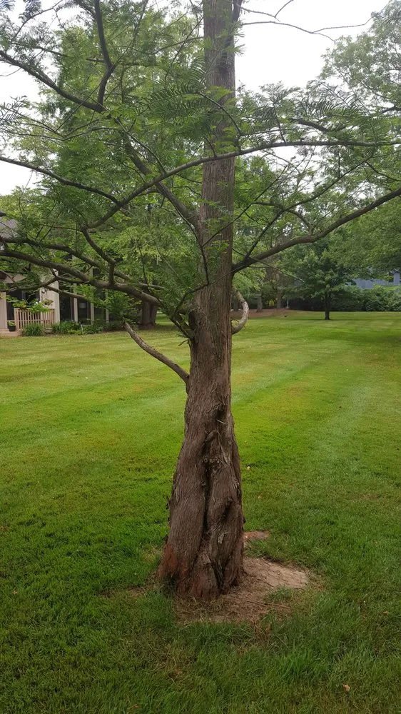 Reliable garden landscaping for year-round maintenance in Rockmart, GA by Invictus Lawncare Services