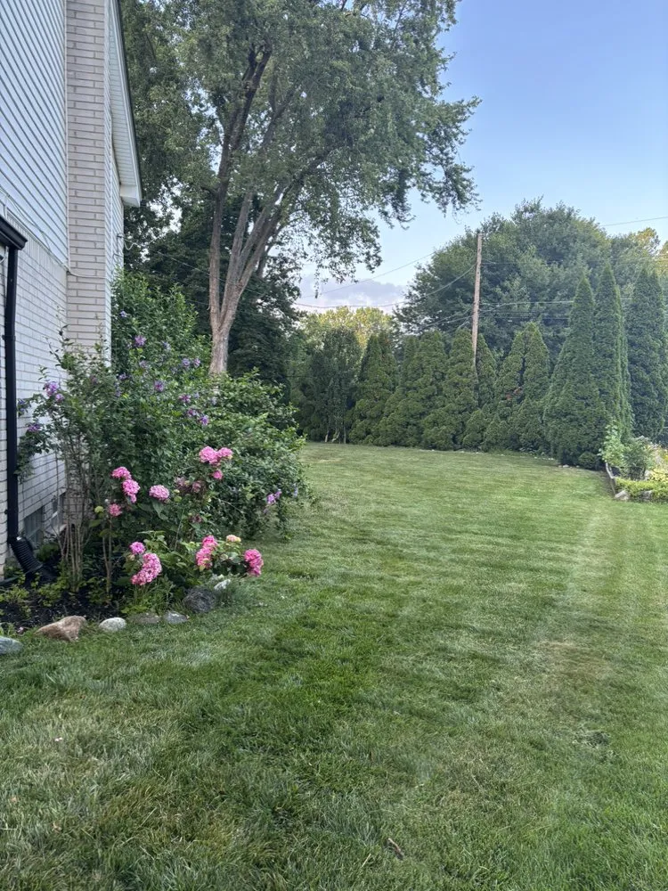 Trusted landscaping services near you across Eastpointe, MI - Involved Consultation